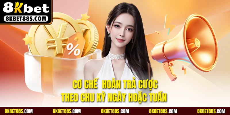 Cơ chế hoàn trả cược theo chu kỳ ngày hoặc tuần