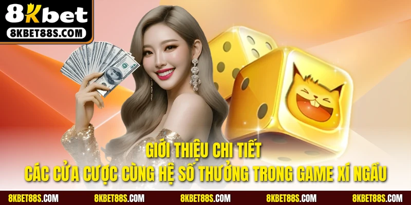 Giới thiệu chi tiết các cửa cược cùng hệ số thưởng trong game Xí ngầu
